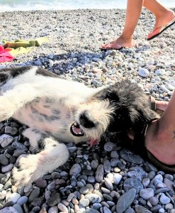 Datça Yoga Retreat by the Sea, May 15-19