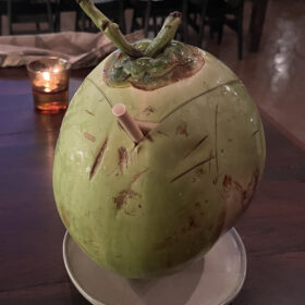 Tropik iklimde günlük hayatta tüketilen taze hindistancevizi