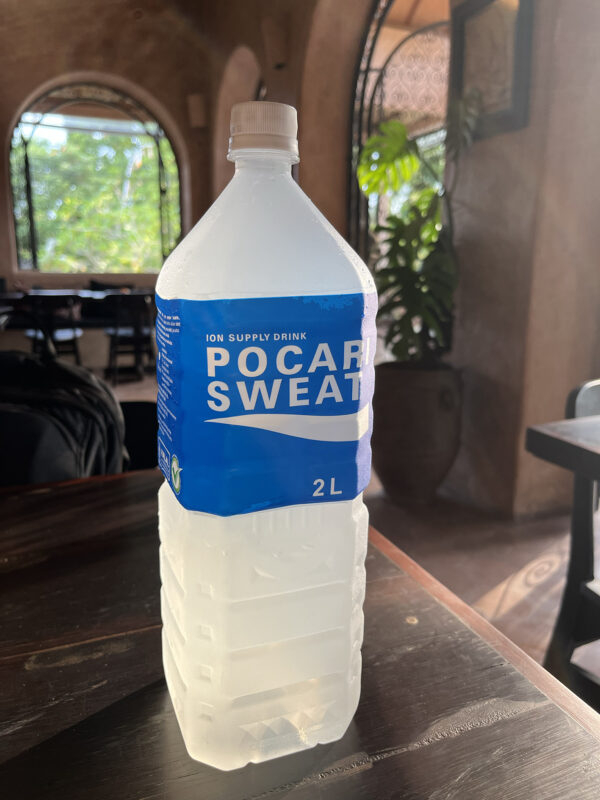 Tropik iklimde elektrolit içeren bir içecek